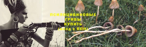 СК Алексеевка
