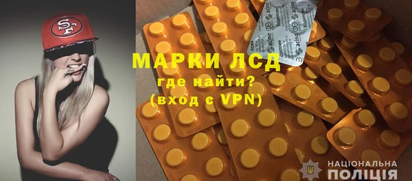 стаф Нея